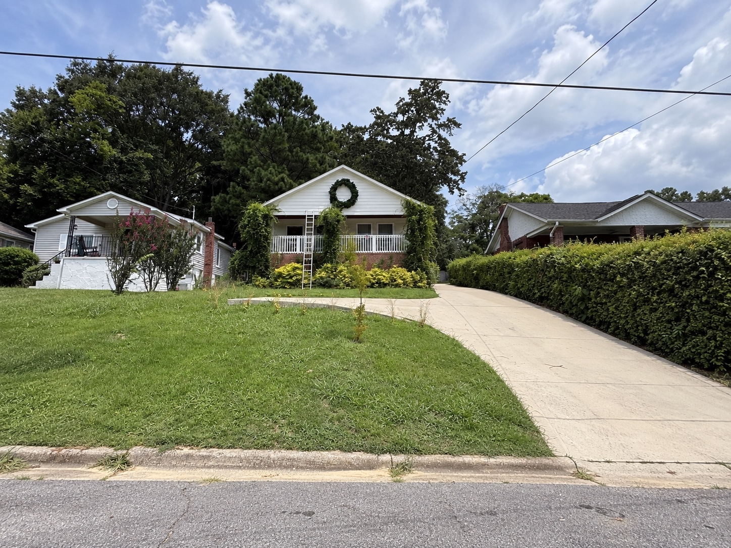 Front lawn and full driveway before maintenance