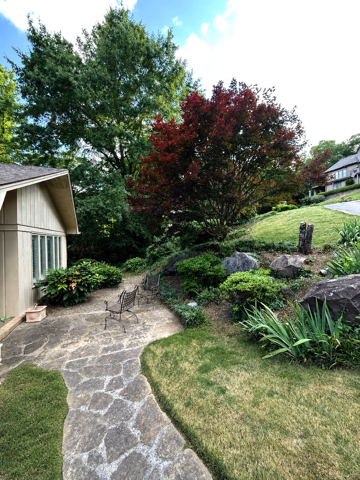 Garden path after cleanup