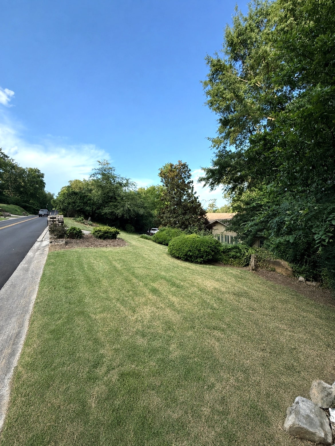 Hillside lawn after maintenance
