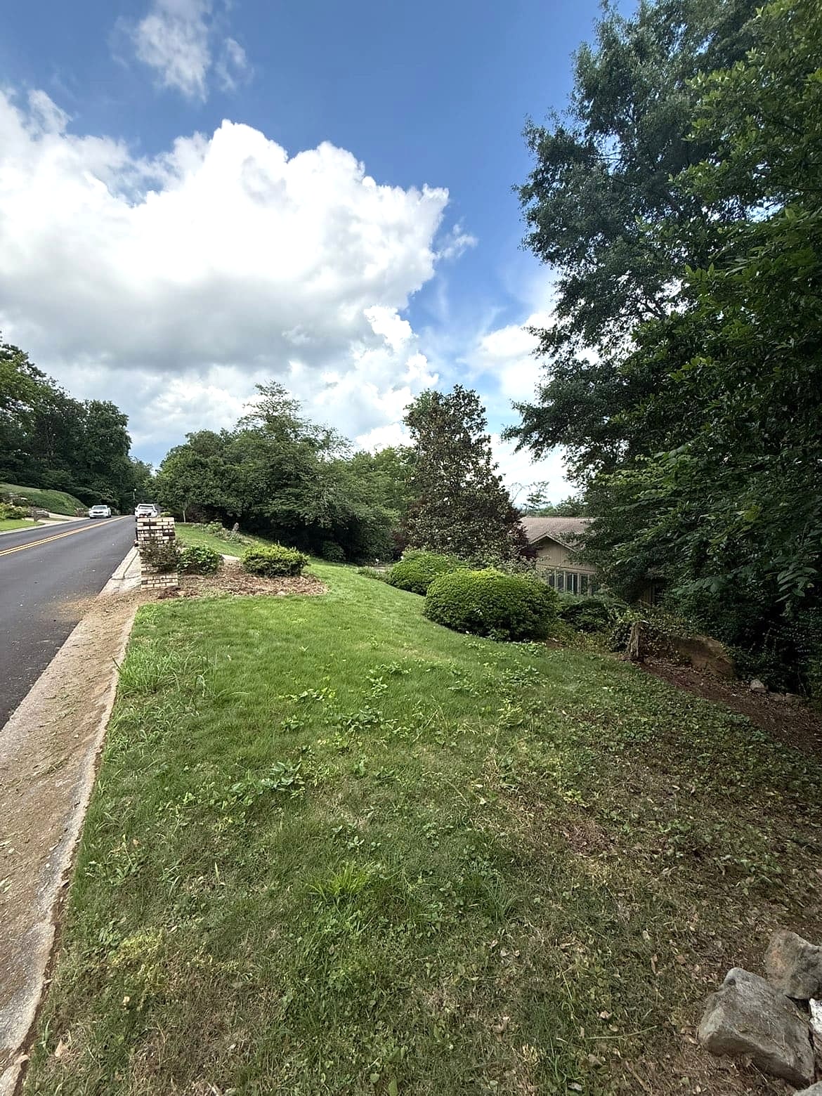 Hillside lawn before maintenance