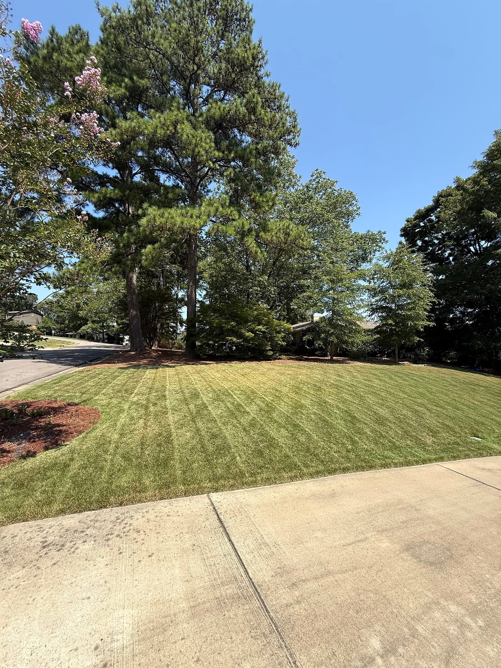 Freshly mowed residential lawn with crisp striping by Tegrity Lawncare