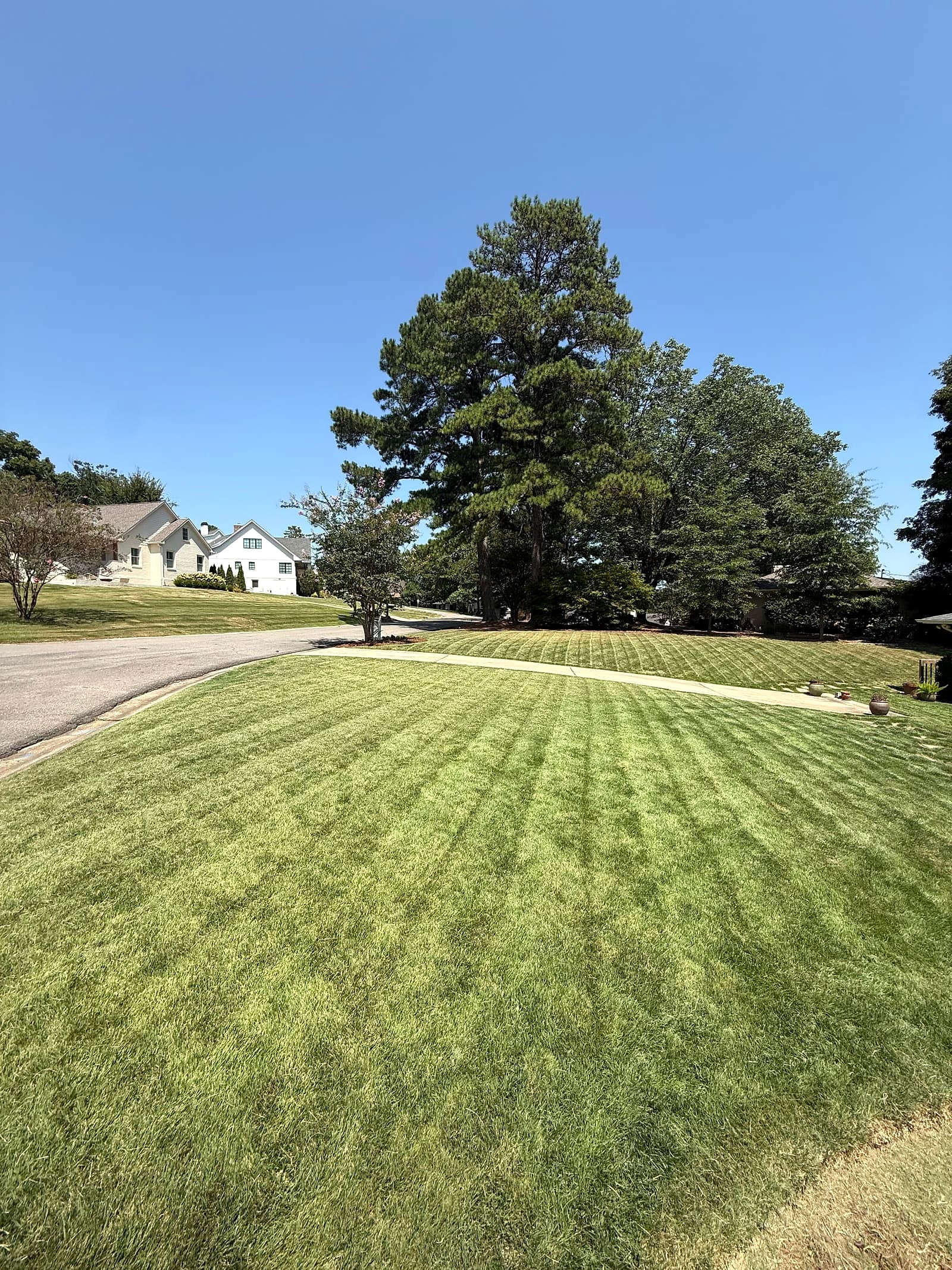Freshly striped residential lawn viewed from the street