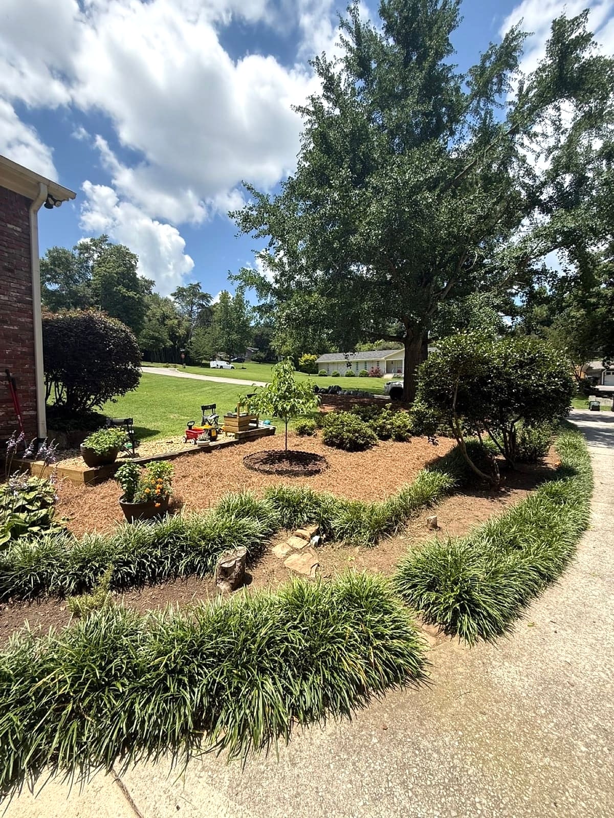Landscape bed after cleanup and a fresh pine straw installation