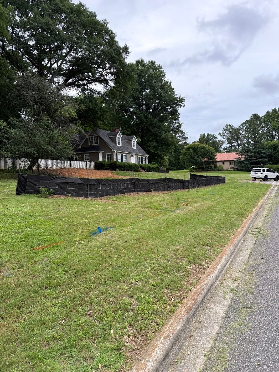 Roadside lawn after overgrowth cleanup