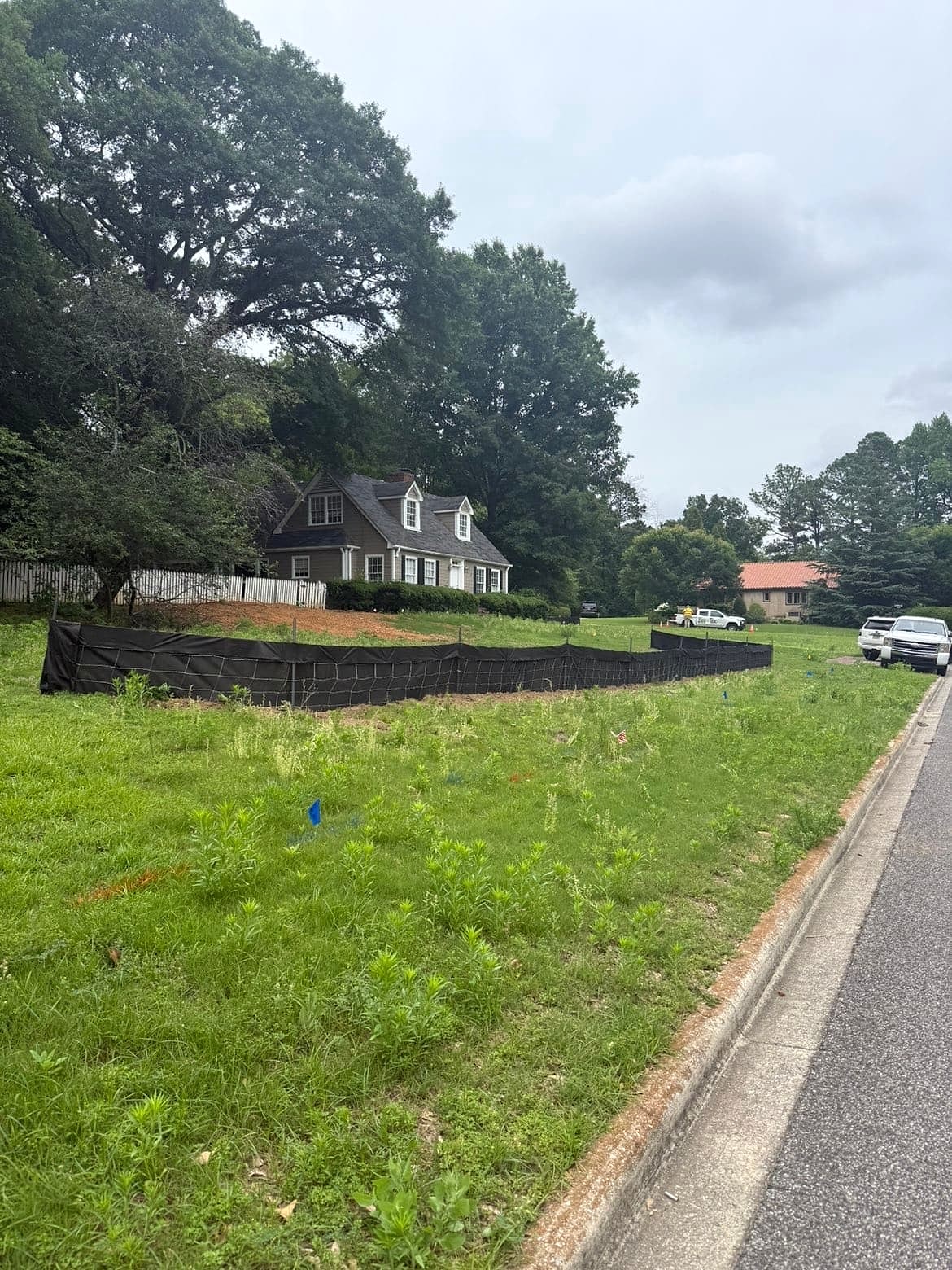 Roadside lawn before overgrowth cleanup